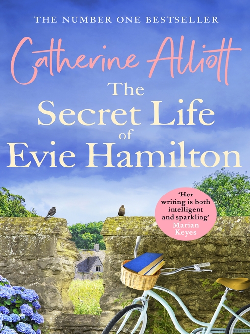 The Secret Life of Evie Hamilton (eBook)